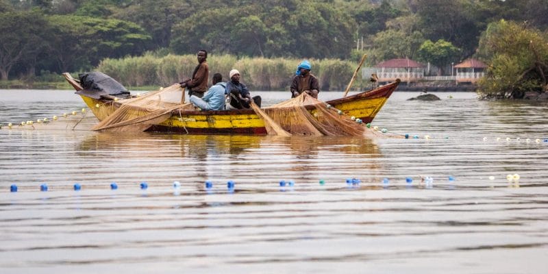 The Heart of East Africa: Lake Victoria’s Environmental Challenges and Sustainability