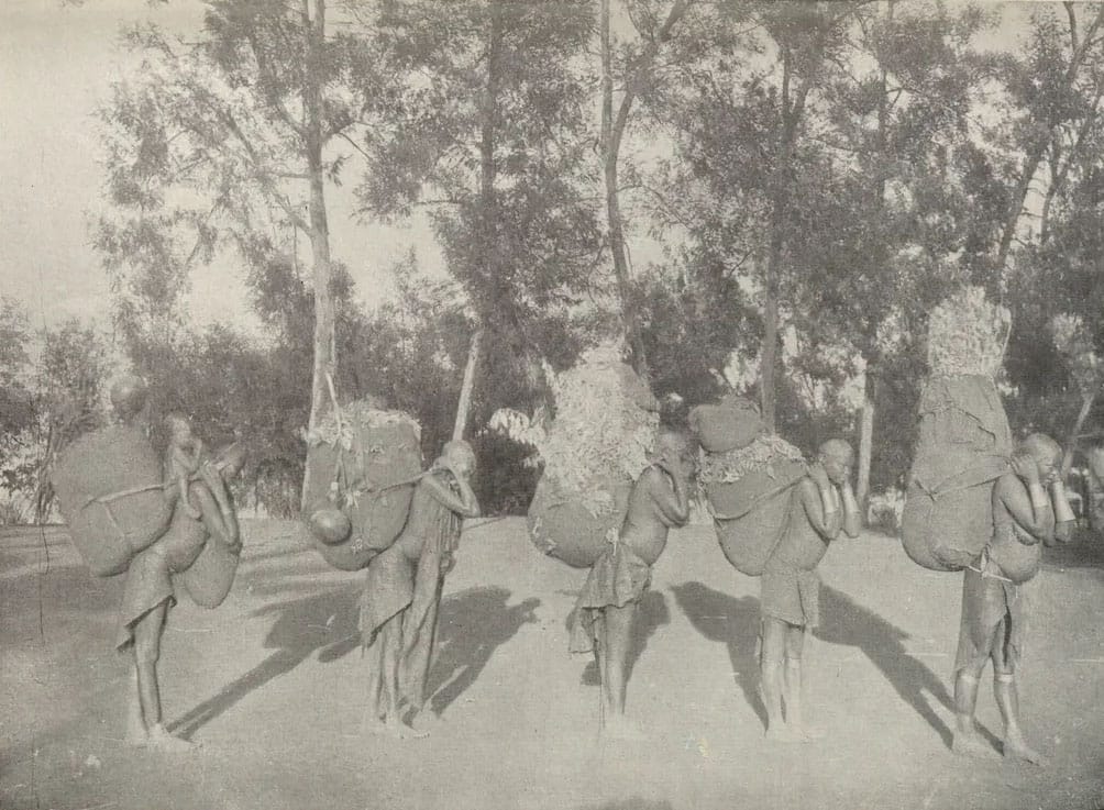 Agikuyu women carrying heavy loads on their backs.