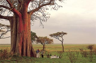 The Wonders of South Africa: A Land of Unique Beauty